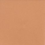 NO-Warm Apricot